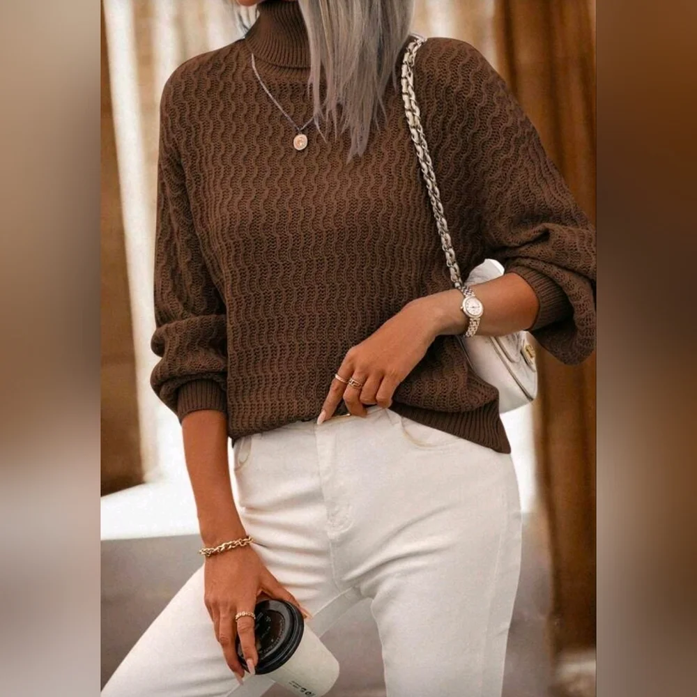 New Luxe Oversized Knit Turtleneck Sweater Top Deep Brown